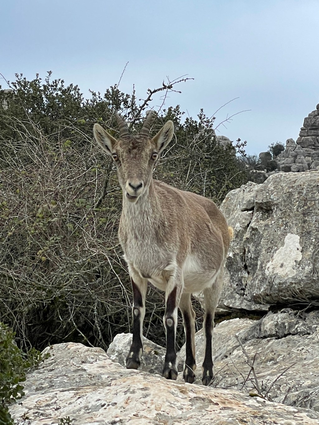 Talk about a dream, try to make it&nbsp;real